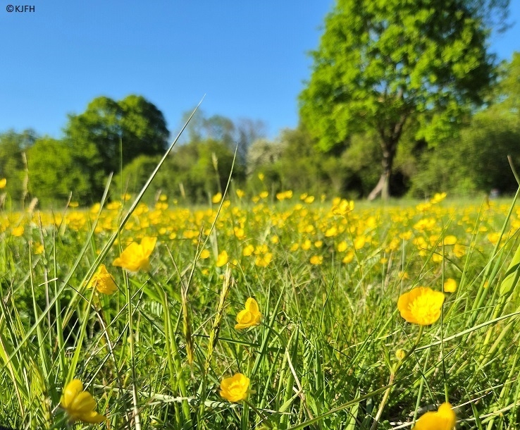 Sommerferien