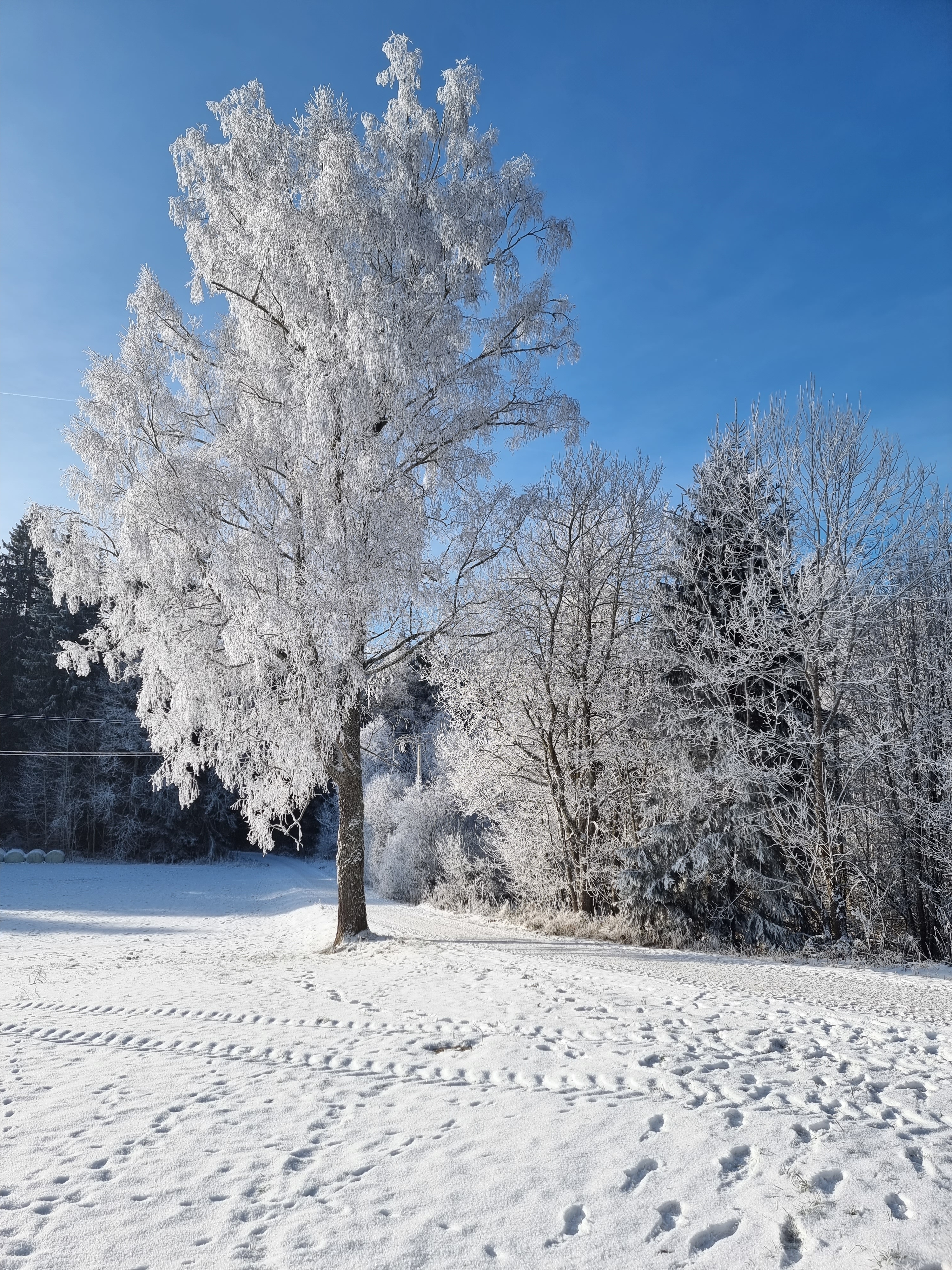 Winterferien