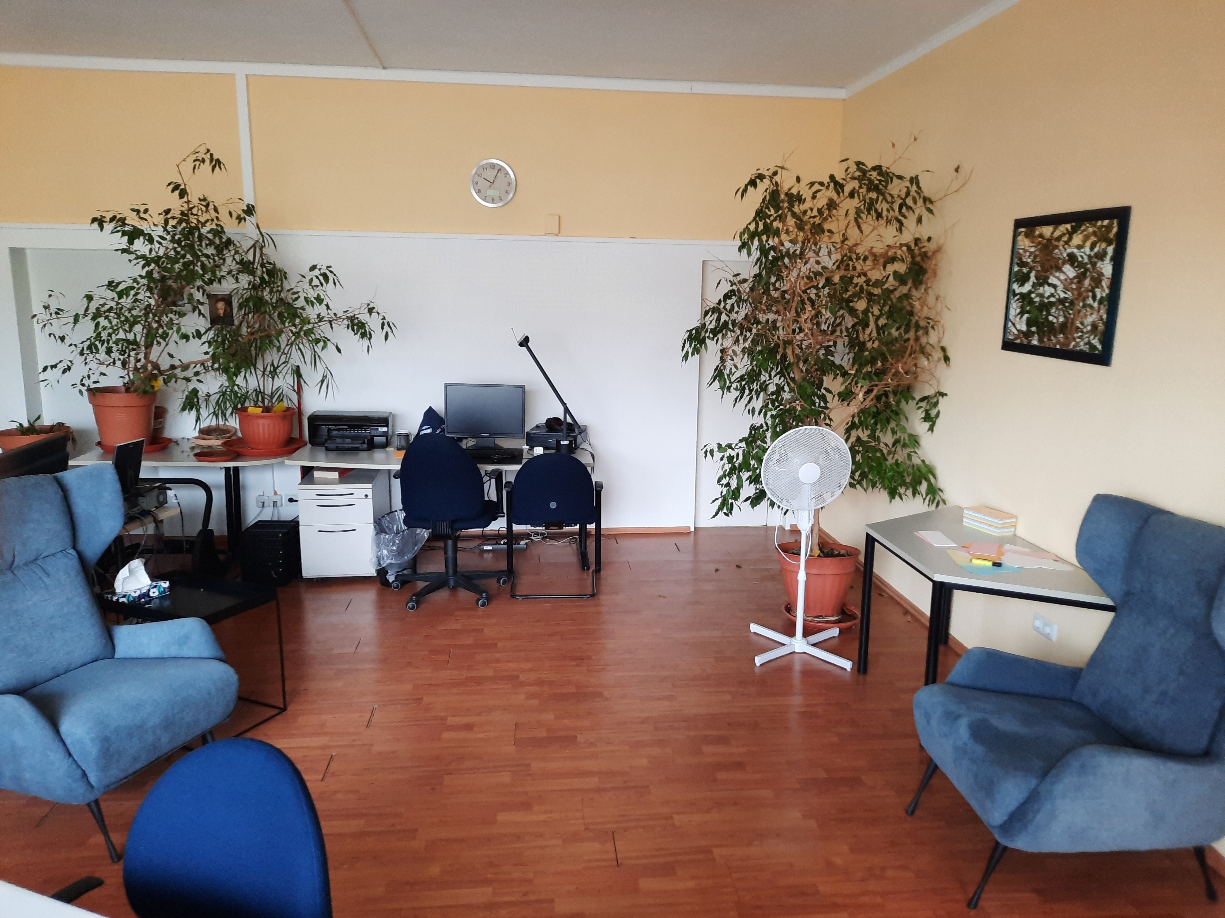 Example Gallery Image 4