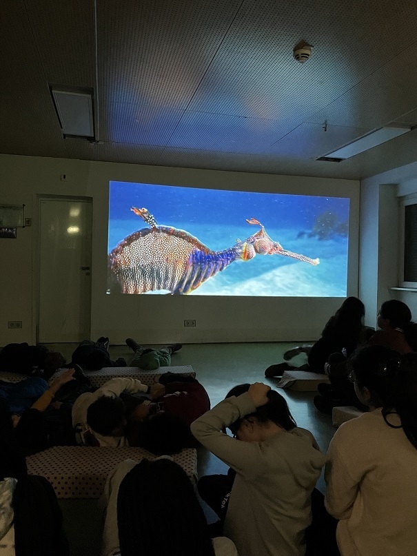 Kino im Kinderhaus